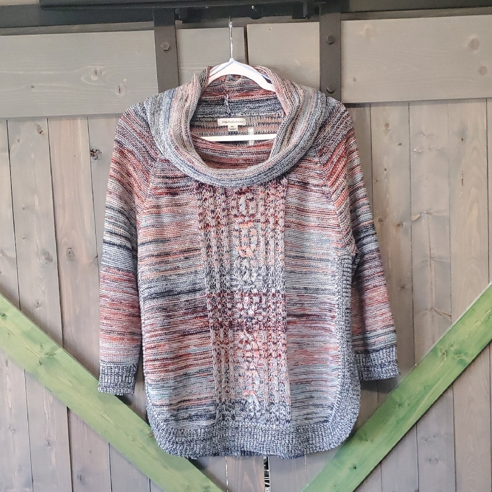 Women's Multicolor Cowl Neck Sweater